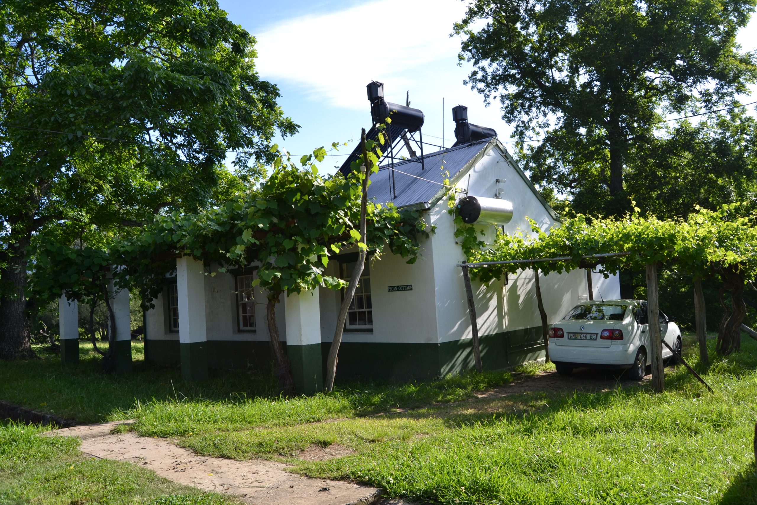 dsc0221-7931fd1615dd76fe01c6574056ef8042-2